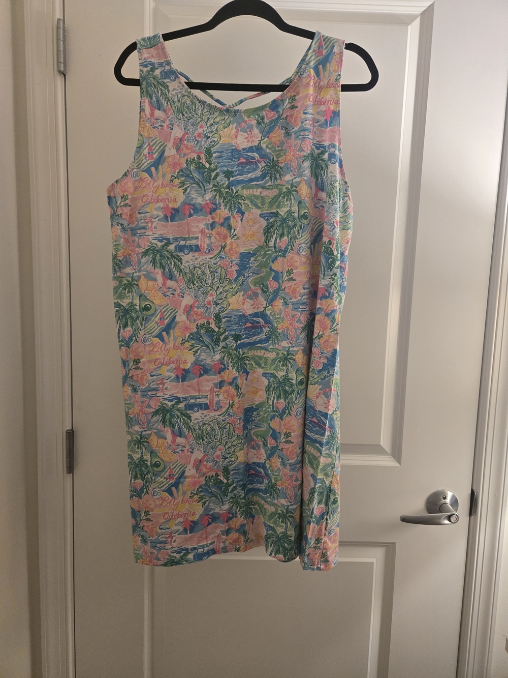 Lilly Pulitzer Kristen Swing Dress in the "Lilly Loves California" XXL